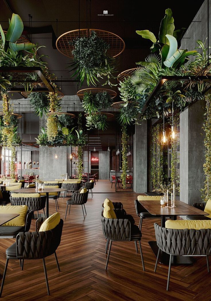 Restaurant Interior